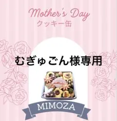 むぎゅごん様専用でございます！