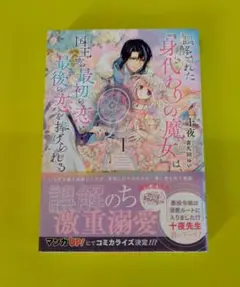 誤解された身代わりの魔女は、国王から最初の恋と最後の恋を捧げられる 1