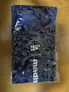 e*o様 MVPs ジョアンフェリックス サイン入りジャージ ミステリー