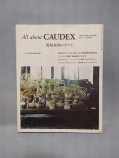 All about CAUDEX 塊根植物のすべて