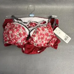 新品未使用　ブラジャーショッツセットトリンプのサムネイル