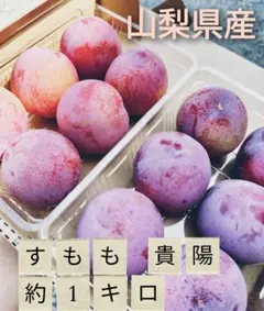 1-13 山梨県産 すもも 貴陽 約1キロのサムネイル