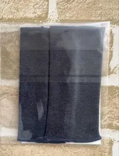 Item thumbnail for item 1dcd2f61-6244-4482-a630-ac10f85a5223