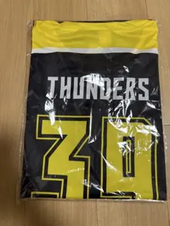 群馬クレインサンダーズ　来場特典　ホッケーTシャツ