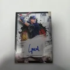 Item thumbnail for item 5c934566-3839-48be-8de6-2863a729ed3a