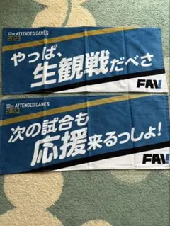 Item thumbnail for item 5a10bd5c-4306-4090-a9a2-e23662ba99fa