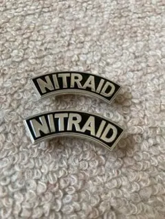 NITRAID アーチロゴ　デュプレのサムネイル