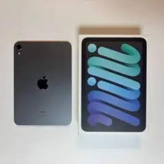 ANAロゴ刻印】iPad mini Wi-Fiモデル 64GB スペースグレイ - メルカリ