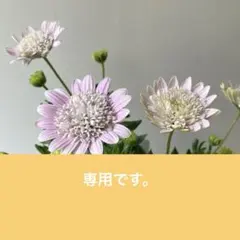 ☆uni☆様 リクエスト 2点 まとめ商品