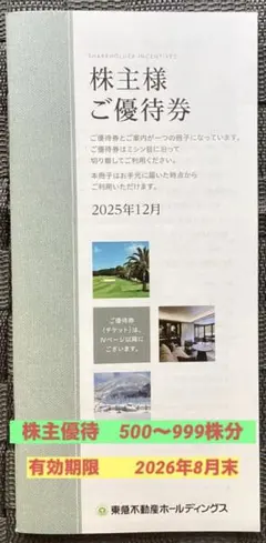 東急不動産HD 株主様ご優待券×1冊（500株以上1000株未満）