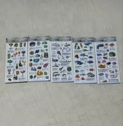 大人の図鑑3Dシール 5枚セット