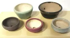 盆栽小鉢　一蒼豆鉢3点　他小鉢2点　 計5点のサムネイル