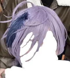 榊ネス コスプレウィッグ - メルカリ