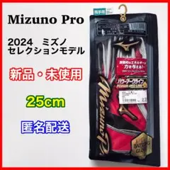 ミズノセレクションモデル】 ミズノプロ バッティンググローブ 26cm 