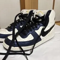 ⭐︎処分特価⭐︎NIKE ダンク ハイカット25.5cm