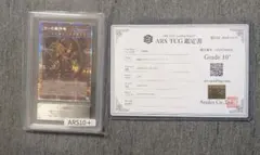 遊戯王ブラックマジシャン2500枚限定応募当選品スペシャルイラスト