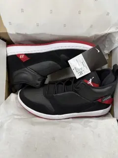 NIKE Air Jordan スニーカー 27cm ブラック/レッド