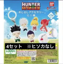 HUNTER×HUNTER めじるしアクセサリー G.I.編 セミコンプセット - メルカリ