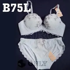 B75Lセット　脇高ブラ 　イノセントフローラル　デイリーアモ