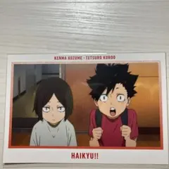 ハイキューゴミ捨て場の決戦展 ポストカード 孤爪研磨 黒尾鉄朗 幼少期
