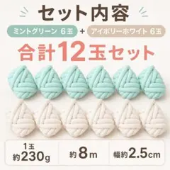 ヒメシャコ貝 小中 両面 インテリア 飾り物 アクセサリー オブジェ 