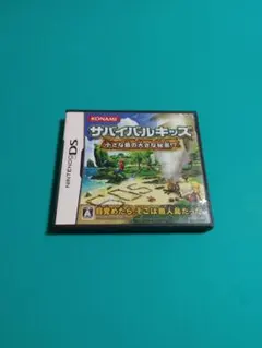 DS サバイバルキッズ 小さな島の大きな秘密!? 説明書欠品