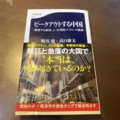 ピークアウトする中国 「殺到する経済」と「合理的バブル」の限界