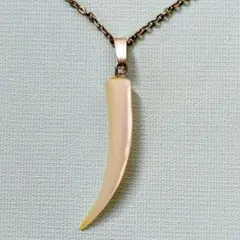 イノシシ牙ペンダント　ネックレス　NSチェーン付　1点物　魔除け