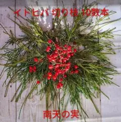 南天の実＆イトヒバ 正月 新年 飾り 花材 ドライフラワー リース 信州産