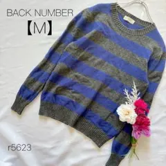 バナナリパブリック　ウールニット　長袖ニット　ボーダー　Uネック 青系　【M】