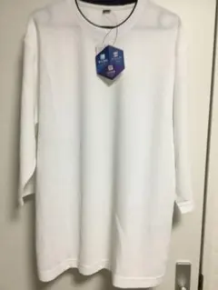 Item thumbnail for item f9e73e67-9bfe-4498-a12e-2e78d37eb26b