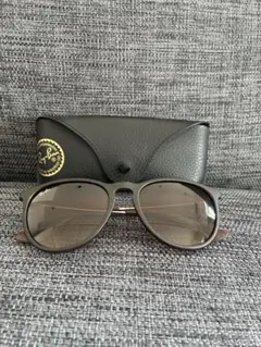 Ray-Ban Erika ブラウン　サングラス