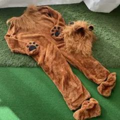 Item thumbnail for item 60e11af7-d414-4550-950c-aee02e7be6f2