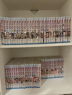 ワンピース 本