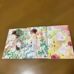 君に届け 番外編 運命の人 1〜3巻 全巻セット 椎名軽穂