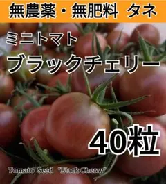Yuu様 リクエスト 2点 まとめ商品