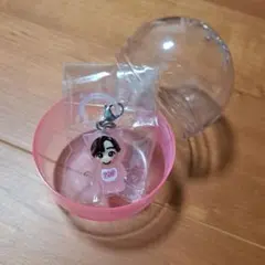 なにわ男子 道枝駿佑 めじるしチャーム 1st DOME LIVE VoyAGE