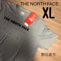 Tシャツ ミニロゴ レア　ノースフェイス