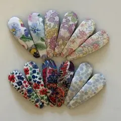 Item thumbnail for item 1d102474-5b1c-482b-a9c6-d8b9b361bc4a