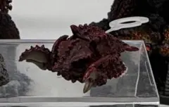 ゴジラ オーナメント 特撮大百科 レジンキャスト製 レッチ島洞窟の