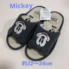 Item thumbnail for item 40ad5d5e-d425-42c7-a662-358c27dd27a7