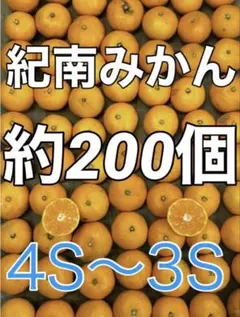 K2403⭐️和歌山みかん 200個ぐらい 箱込み10kg小玉みかん家庭用訳あり