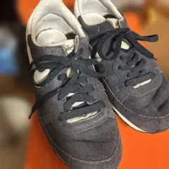 Item thumbnail for item e558ca89-b69e-46bf-aeef-0e1191b99cb4