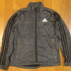 Item thumbnail for item 11aa7be2-807e-4576-aae3-f37ed741fd28