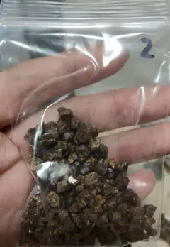 ぱるそた様 リクエスト 3点 まとめ商品