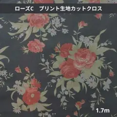 ローズC　プリント生地カットクロス　1.7m　216