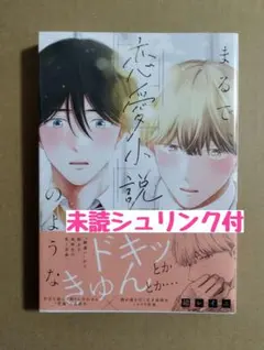 新刊未読◆まるで、恋愛小説のような◆綿レイニ◆シュリンク付