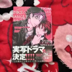 PUNKS TRIANGLE stitch1