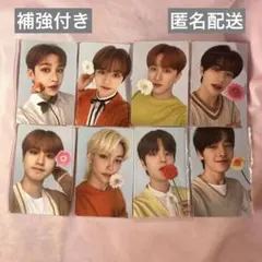 straykids nacific ナシフィック 両面 トレカ フラワー コンプ