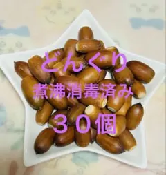 どんぐり　３０個